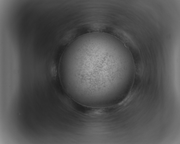 X0000103160086200808291459