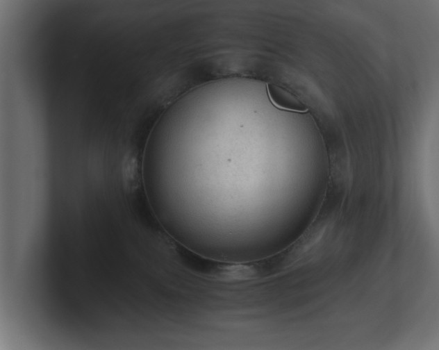 X0000103160087200808291459