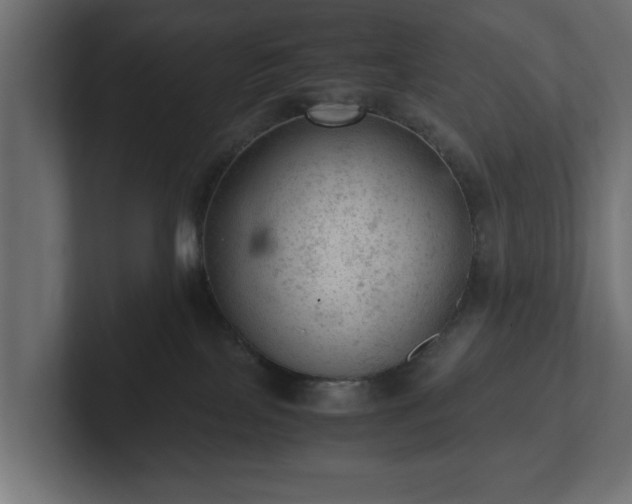 X0000103160089200808291459