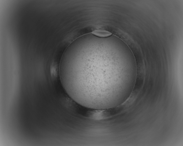 X0000103160090200808291459