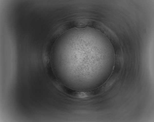 X0000103160091200808291459