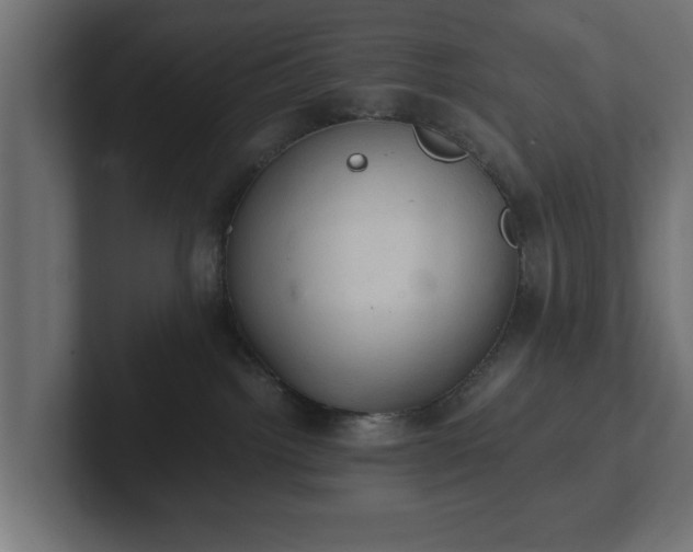 X0000103160092200808291459