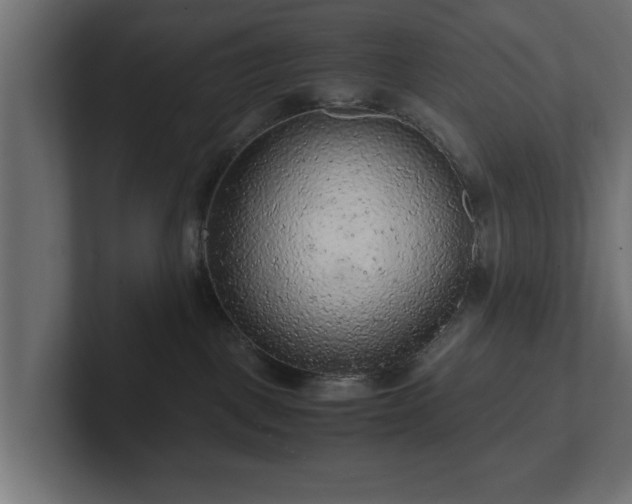 X0000103160093200808291459