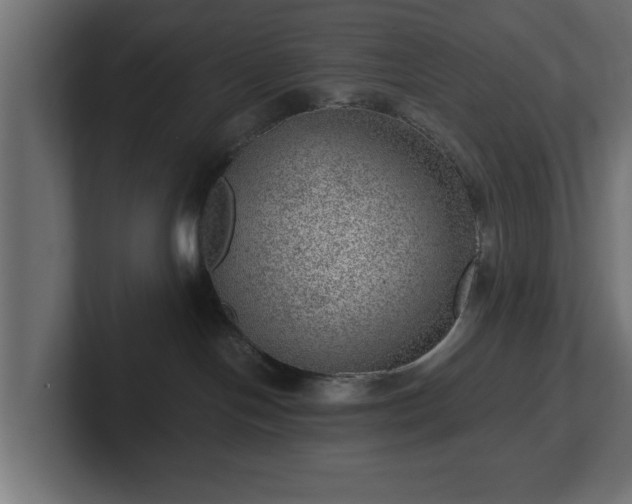 X0000103160094200808291459