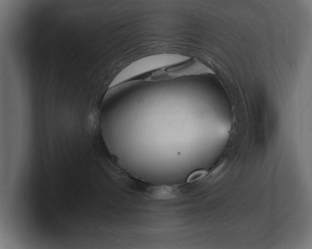 X0000103160096200808291459