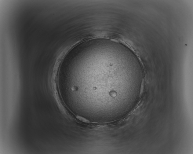 X0000103160097200808291458