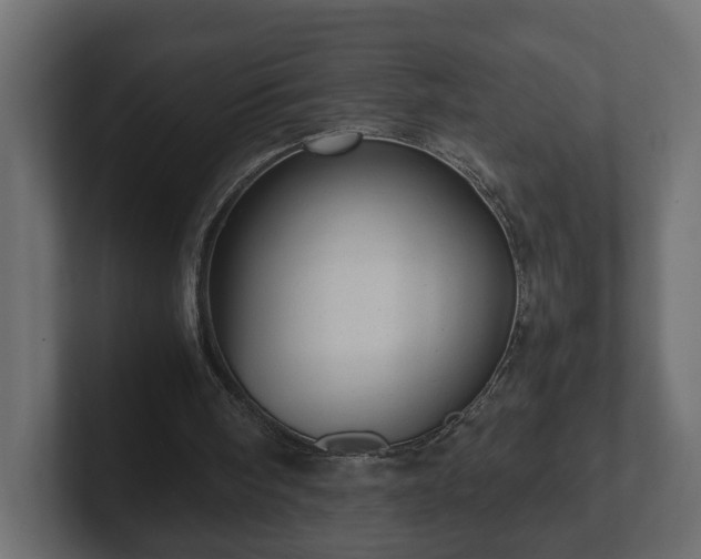 X0000103160098200808291458