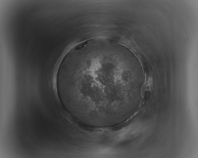 X0000103160099200808291458