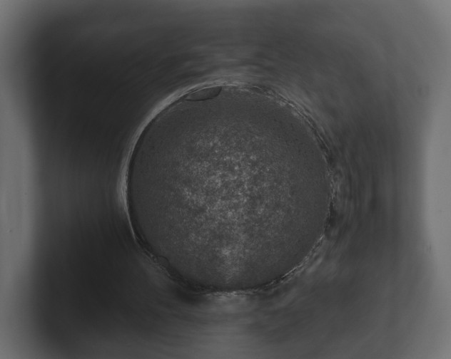 X0000103160100200808291458