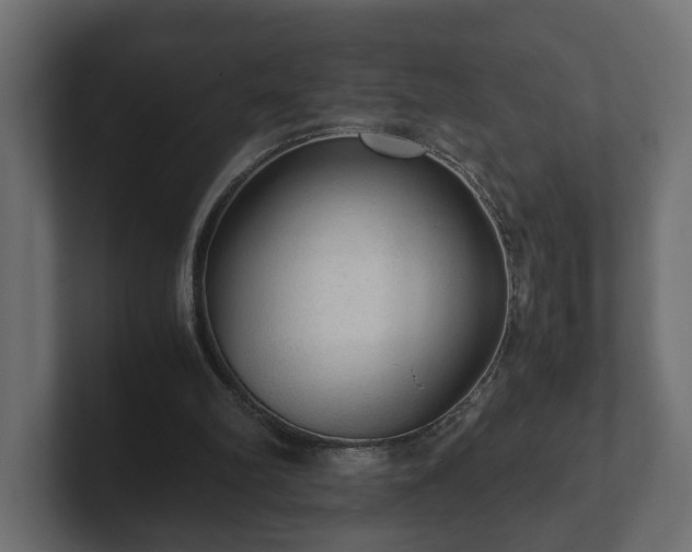 X0000103160102200808291458