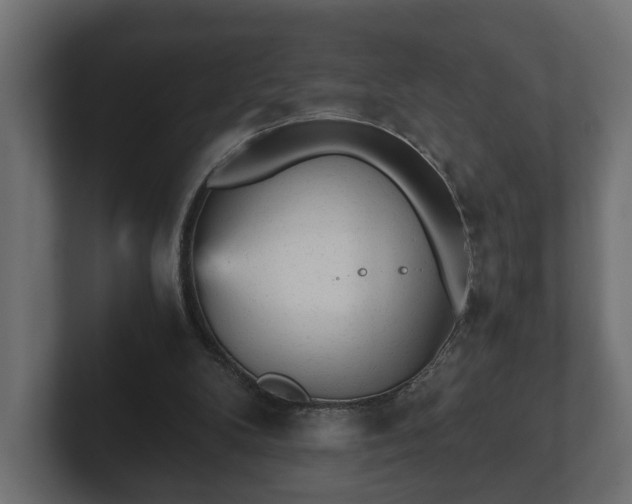 X0000103160104200808291458