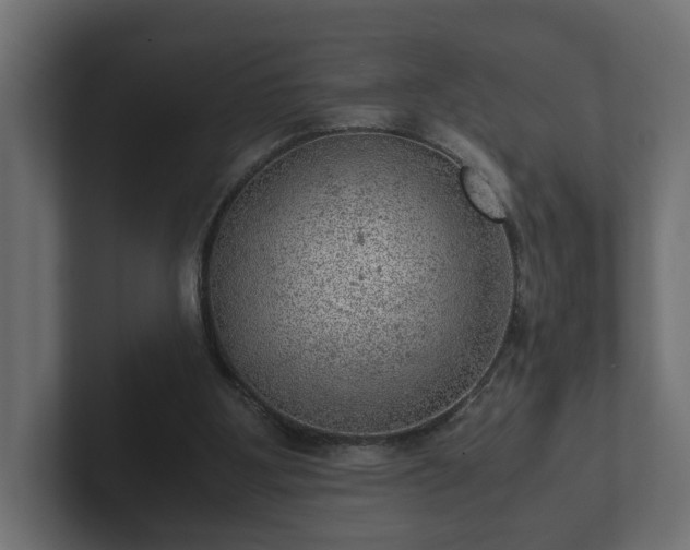 X0000103160107200808291458