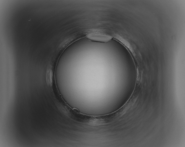 X0000103160109200808291458