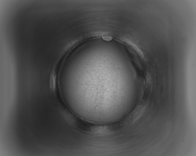 X0000103160110200808291458