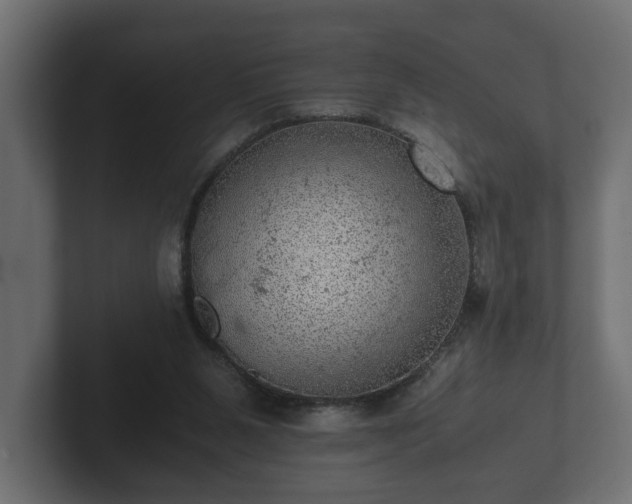 X0000103160111200808291458