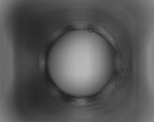 X0000103160113200808291458