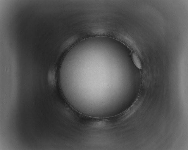 X0000103160116200808291458