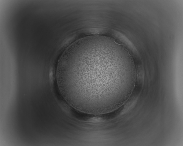 X0000103160119200808291458