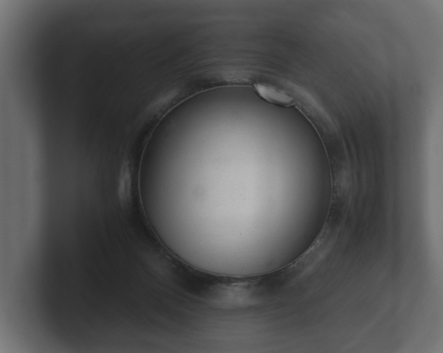 X0000103160120200808291458