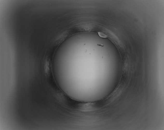 X0000103160122200808291458