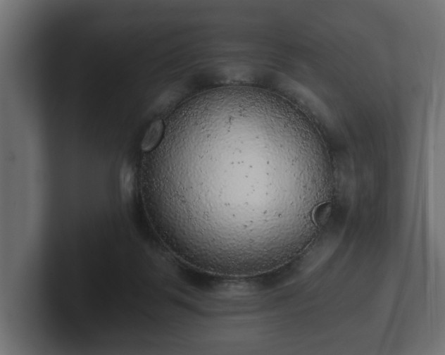 X0000103160123200808291458