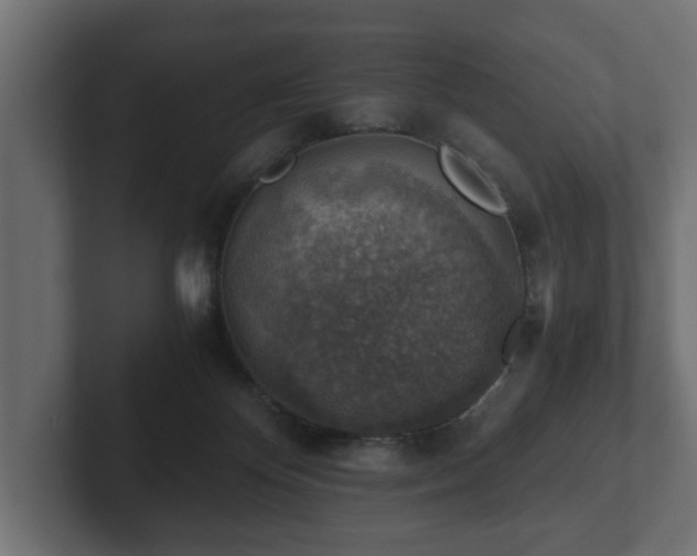 X0000103160124200808291458