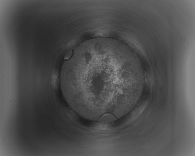 X0000103160127200808291458