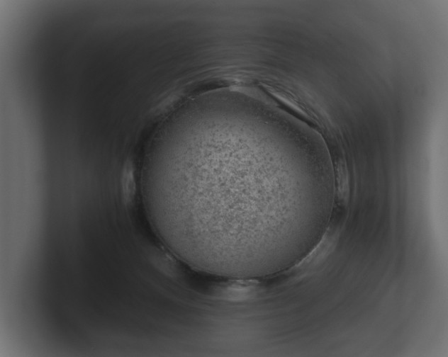 X0000103160128200808291458