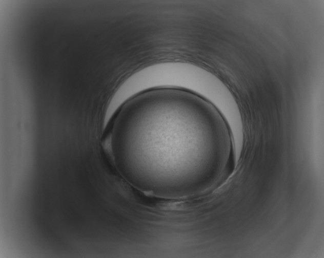 X0000103160132200808291458