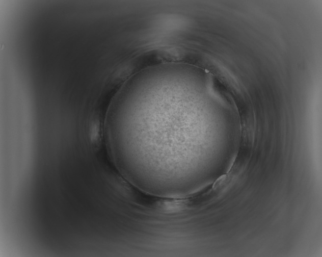 X0000103160134200808291458