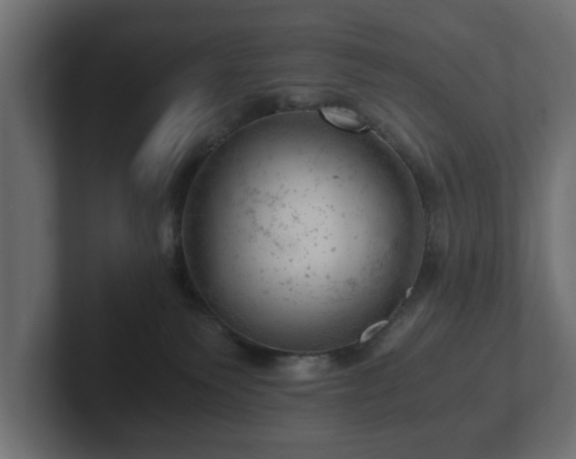 X0000103160135200808291458