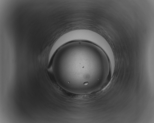 X0000103160136200808291458