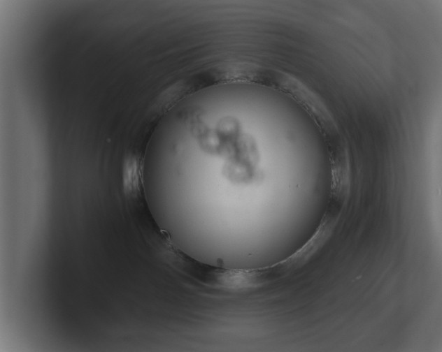 X0000103160142200808291458