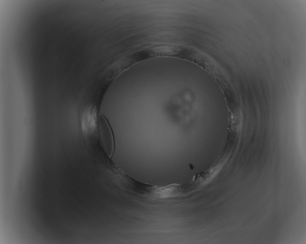 X0000103160143200808291458