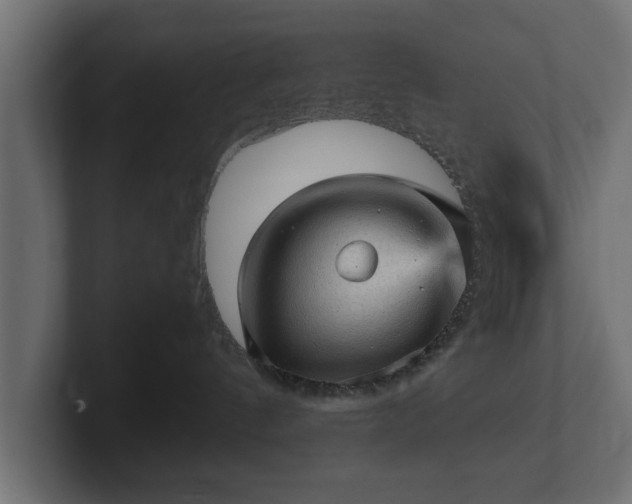 X0000103160144200808291458