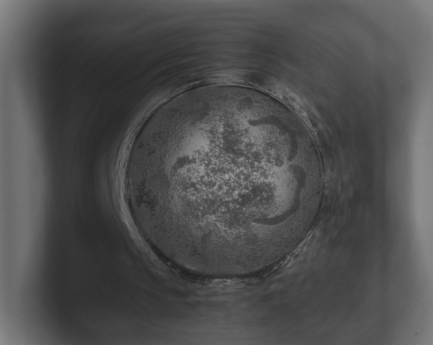 X0000103160145200808291457