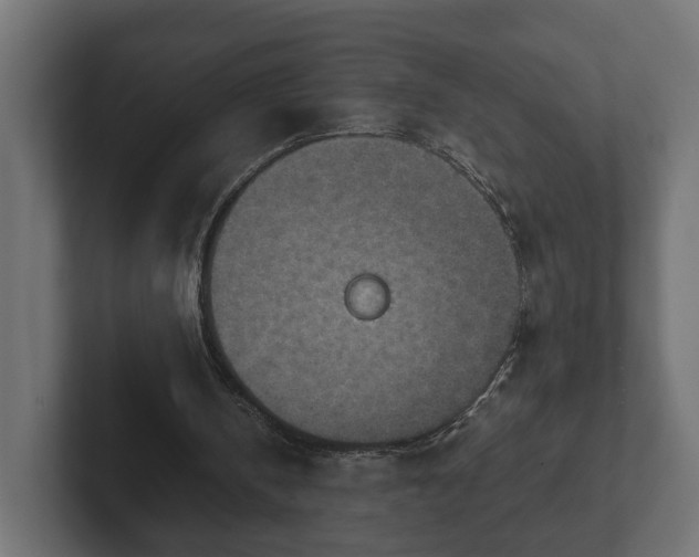 X0000103160146200808291457