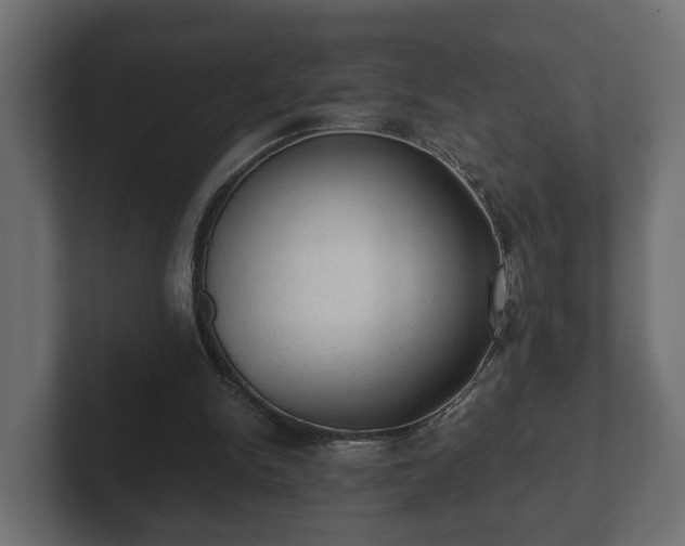 X0000103160150200808291457