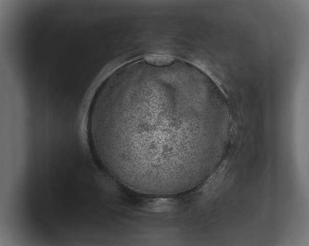 X0000103160151200808291457