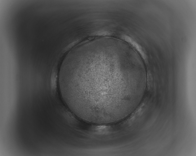 X0000103160153200808291457