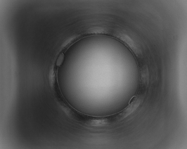 X0000103160160200808291457