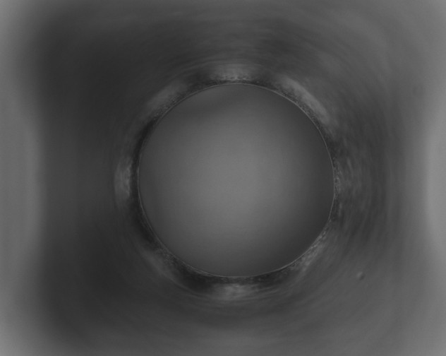 X0000103160163200808291457