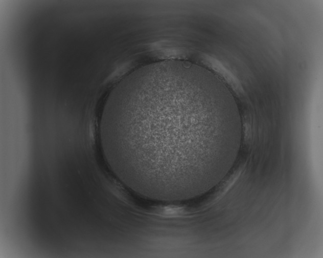 X0000103160165200808291457