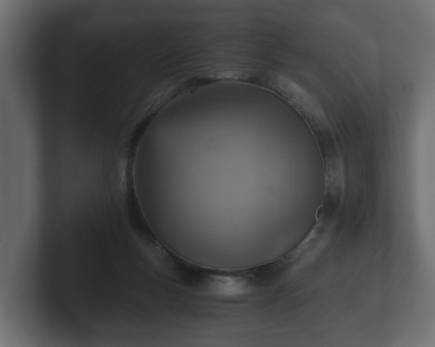 X0000103160167200808291457