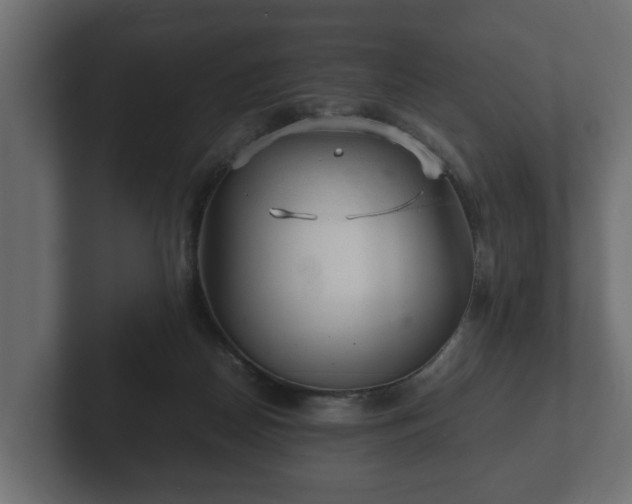 X0000103160170200808291457