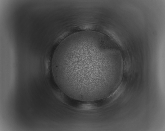 X0000103160171200808291457