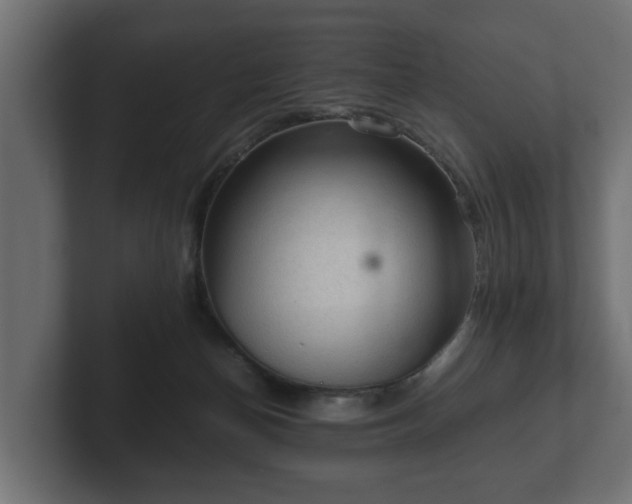 X0000103160174200808291457