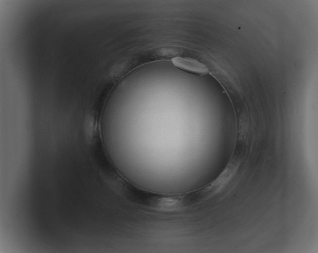 X0000103160176200808291457