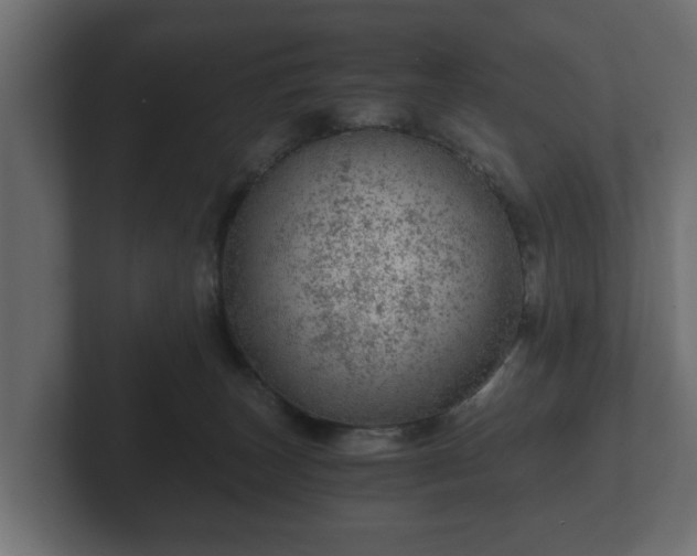 X0000103160179200808291457