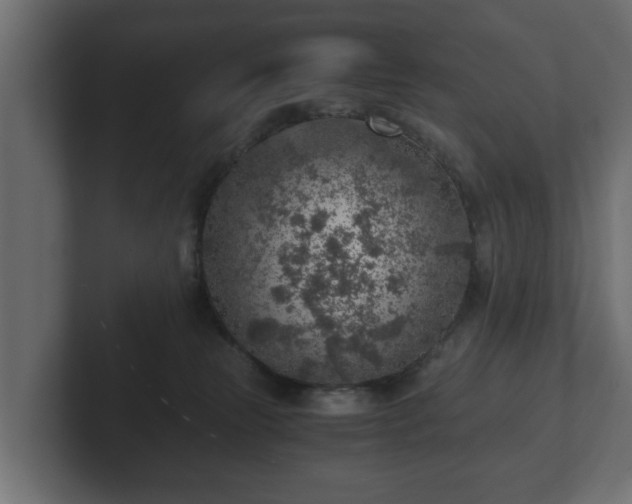 X0000103160181200808291457